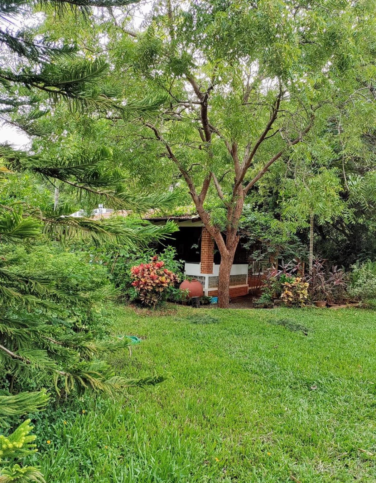 Inn Pondiville Forest Retreat Pondicherry Esterno foto