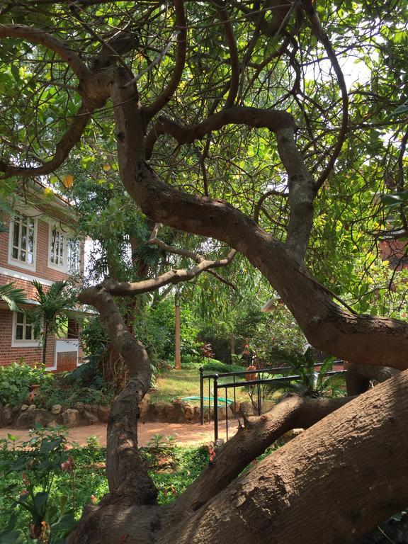 Inn Pondiville Forest Retreat Pondicherry Esterno foto