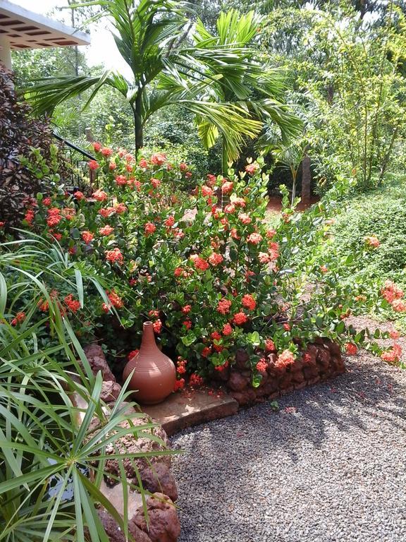 Inn Pondiville Forest Retreat Pondicherry Esterno foto